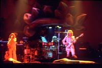 Live Shots